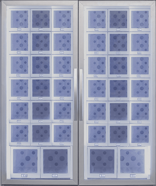Porte Double pour Casiers Réfrigérés avec Vitre - Distri Service